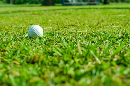 Golf ball on green grass with blur backgroundの写真素材