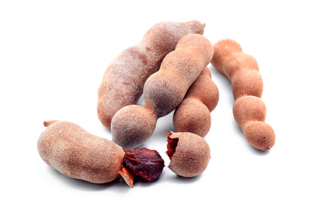 Tamarindの写真素材