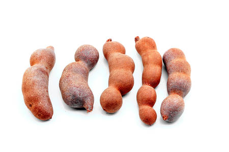 Tamarindの写真素材