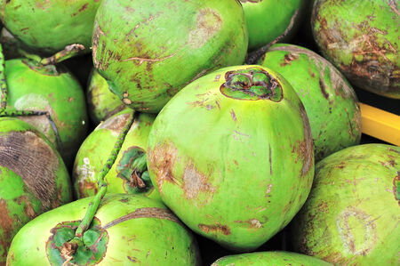 Green coconut