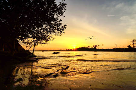 Sunset moment near the beachの写真素材