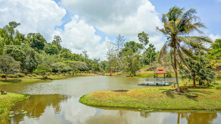 Lakeside View