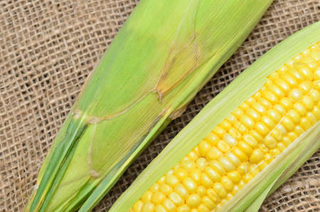 An ear of corn on gunny