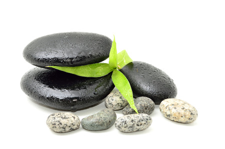 Zen stone with bamboo leaf on white . Spa conceptの写真素材