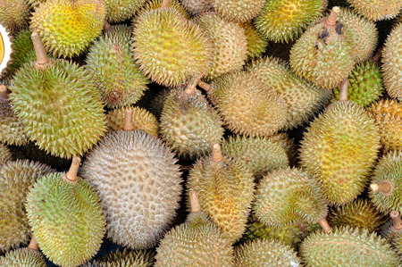 Durian in the marketの写真素材
