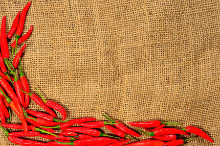 red hot chili pepper on the jute gunny bagの写真素材