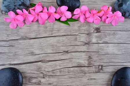 Pink flowers border on wood patternの写真素材