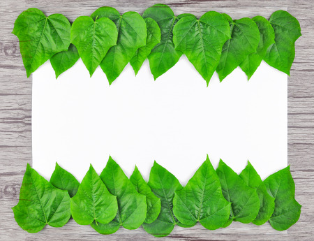 Frame of Green leaf on wood background