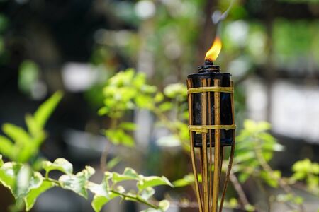 Bamboo citronella torches