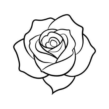 rose flower icon over white background, line style design, vector illustrationのイラスト素材