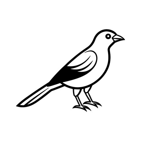 Black and white vector illustration of a bird on a white background.のイラスト素材