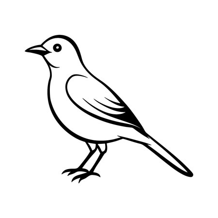 Vector illustration of a small bird on a white background. Black and white image.のイラスト素材