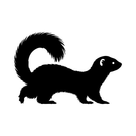 Silhouette of a squirrel on a white background. Vector illustrationのイラスト素材
