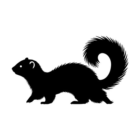 Silhouette of a ferret. Wild animal. Vector illustrationのイラスト素材