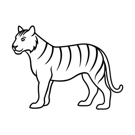 Vector illustration of a tiger. Isolated on a white background.のイラスト素材