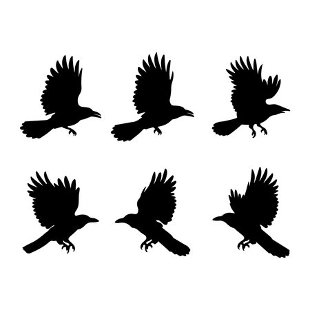 Set of black raven silhouettes isolated on white background. Vector illustration.のイラスト素材