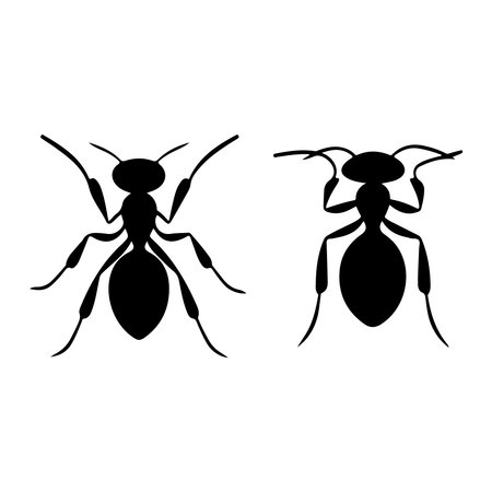 Black ant on white background. Isolated ant. Vector illustration.のイラスト素材