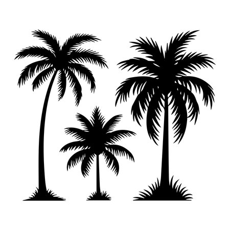 silhouette of palm trees icon over white background, vector illustrationのイラスト素材