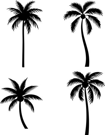 palm trees silhouettes on white background, vector art illustration.のイラスト素材