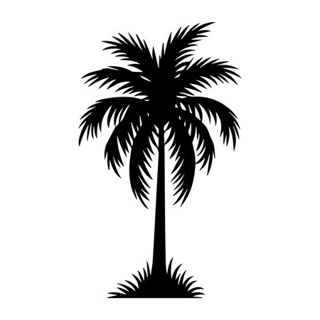 palm tree icon over white background, vector illustration, silhouette styleのイラスト素材