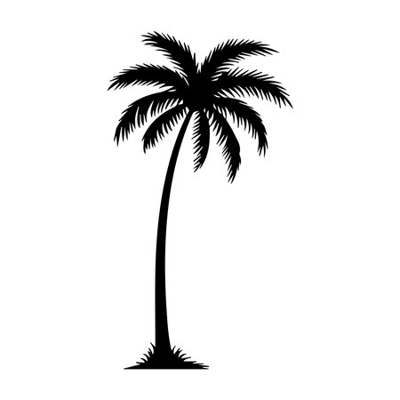 silhouette of palm tree icon over white background. vector illustrationのイラスト素材