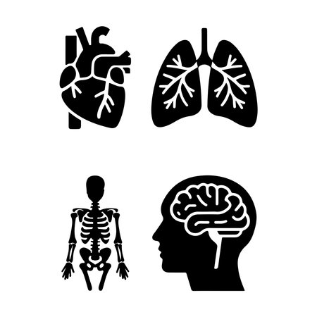 Human internal organs black icons set on white background. Vector illustration.のイラスト素材