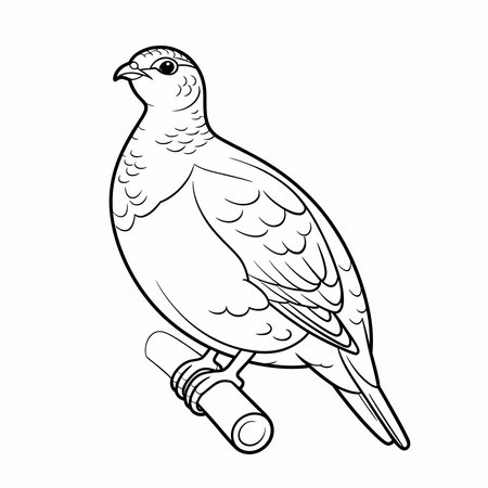 Coloring book for adult and older children. Coloring page with cute pigeonのイラスト素材