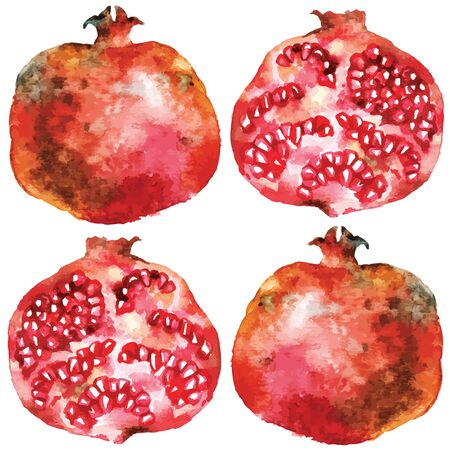 Whole and half pomegranate watercolor illustrationのイラスト素材