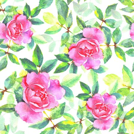 Watercolor hand paint pink roses, raster seamless pattern. Background for web pages, wedding, save the date invitations and cards, fabric texture.の写真素材