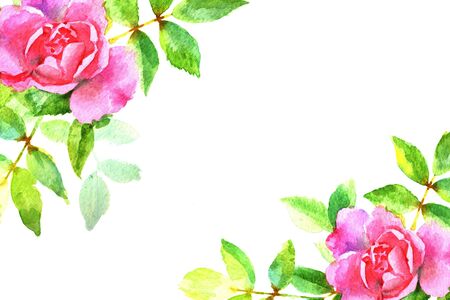 Watercolor pink rose with leaves, corner, template for card, invitation, banner.の写真素材