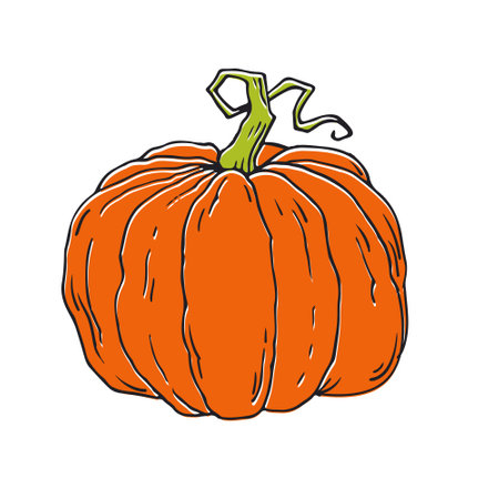 Hand drawn orange pumpkin on white background, vintage vector illustration.のイラスト素材