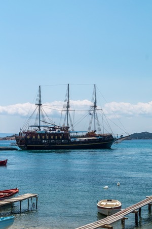 sheep in the blue seaの写真素材