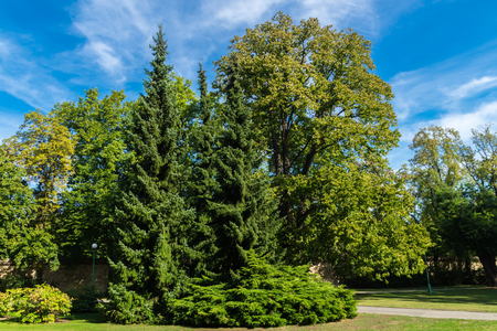 Royal Gardens Prague Castle UNESCO Hradcany Praguegarden in Petrin Hill, Prague, Czech Republic.のeditorial素材