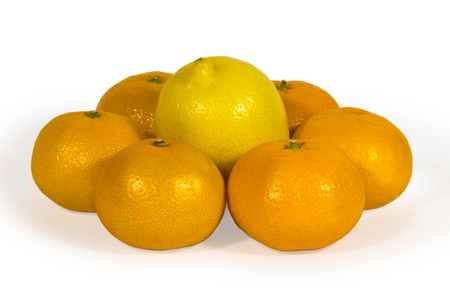 fresh lemons and tangerins isolated on white,の写真素材
