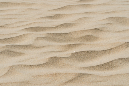 Sand texture pastel colours coast beach vacationの写真素材