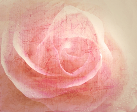 Rose vintage backgroundの写真素材