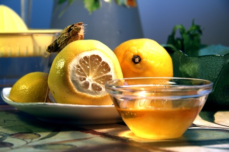 Still life with a saucer of honey and the lemons の写真素材