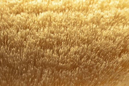 straw abstract backgroundの写真素材