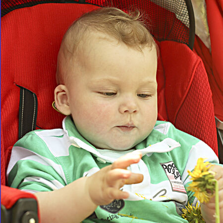 Outdoor portrait of a cute little boy playing with the dandelions