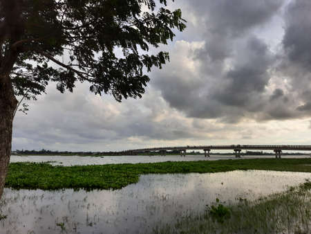 Natural beautisの写真素材