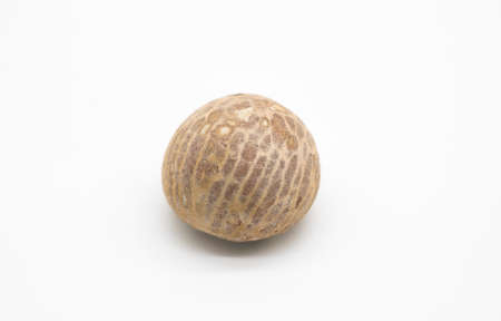 green calabash isolated on white background