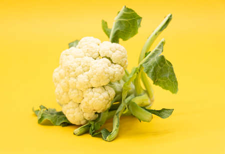 Cauliflower isolated on yellow backgroundの写真素材