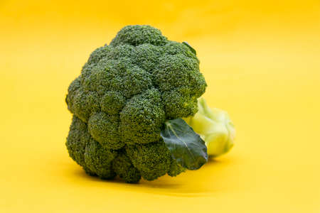 Broccoli isolated on yellow background