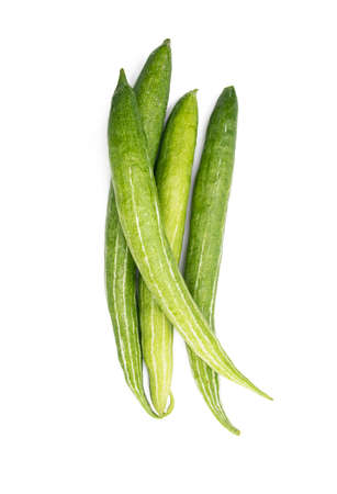 group of Snake gourd isolated on white background.の写真素材