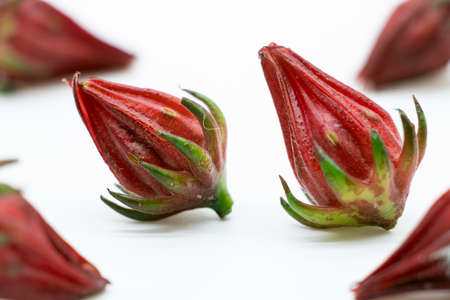 fresh Roselle fruit isolated on white backgroundの写真素材