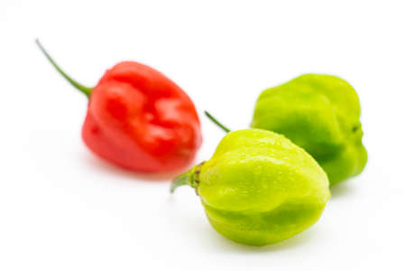 Bhut Jolokia chili pepper or the Naga Morich or naga chili isolate on white
