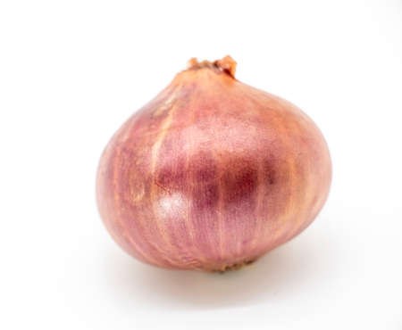 onion isolated on white backgroundの写真素材
