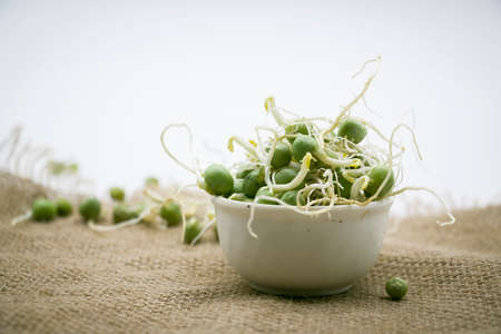 green Pea sprouts.pea Beans and roots on background.healthy eating concept.