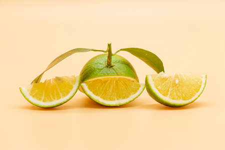 Green mandarine or tangerine  with leaves isolated on colorful background.の写真素材