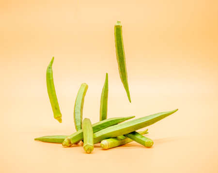 Lady Finger Falling isolated on colorful background, okra isolateの写真素材
